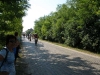 2010_znovin00020