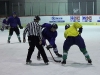 2013_hokej_dl00030