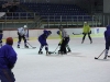 2013_hokej_dl00043