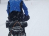 2013_laponsko00027