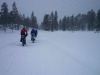 2013_laponsko00028